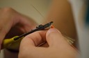Manhã no Laboratório de Optoeletrónica